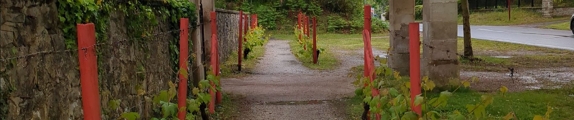 Tocht Stappen Vielle-Saint-Girons - étape 4 Compostelle 24  - Photo