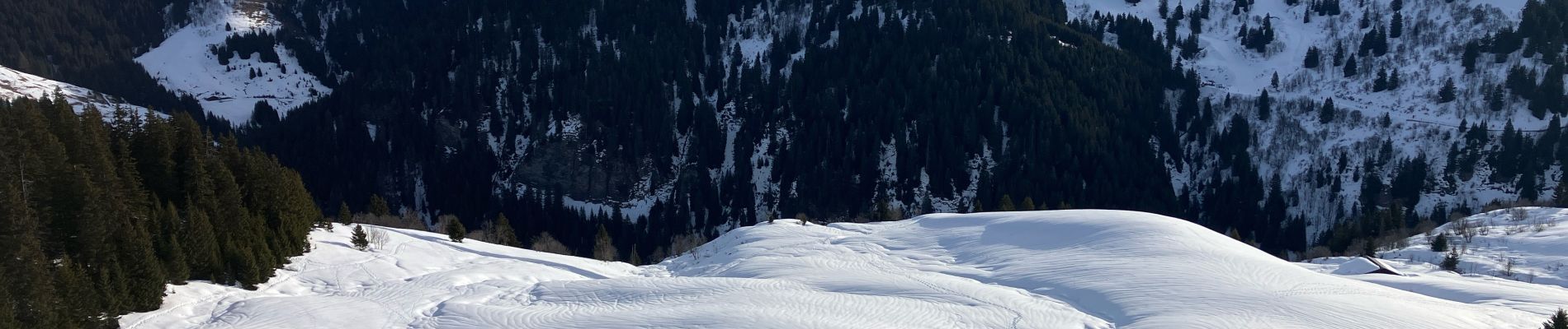 Tocht Trail Villard-sur-Doron - Chard du Beurre-Chardons-Covetan(17.5K 600D+) - Photo