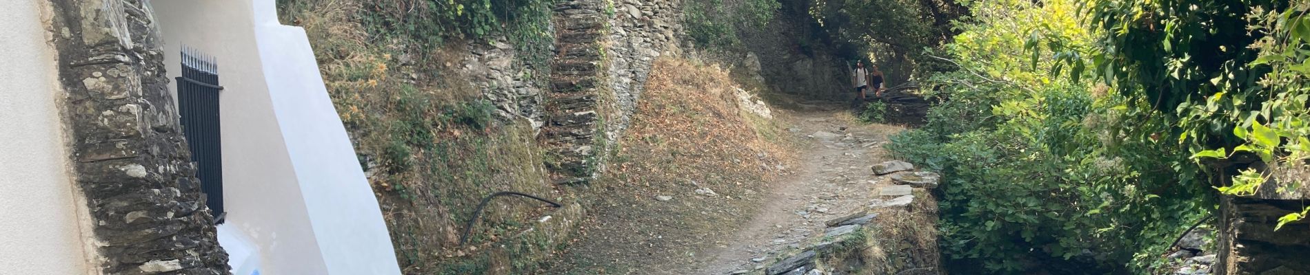 Randonnée Marche Ogliastro - Reco Albu Nonza AR - Photo