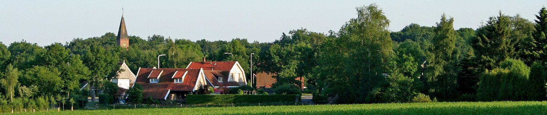 Tour Zu Fuß Losser - Wandelnetwerk Twente - groene route - Photo