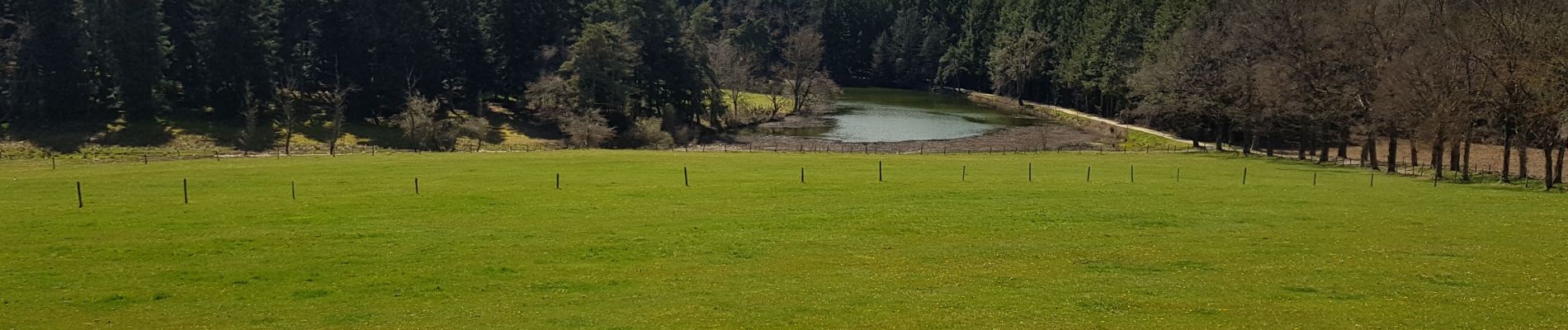 Tour Wandern Sainte-Sigolène - 2019 04 17 autour de Ste Sigolène - Photo