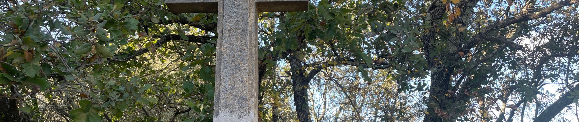 Randonnée Marche Carnas - Le bois de Feuillade - Photo