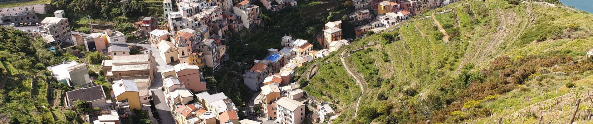 Tocht Stappen Riomaggiore - manarola_coniglia - Photo