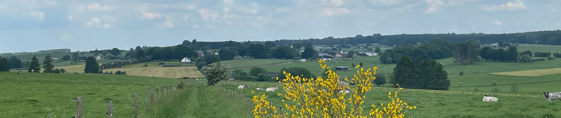 Randonnée Marche Neufchâteau - Tronquoy - Respelt - Photo