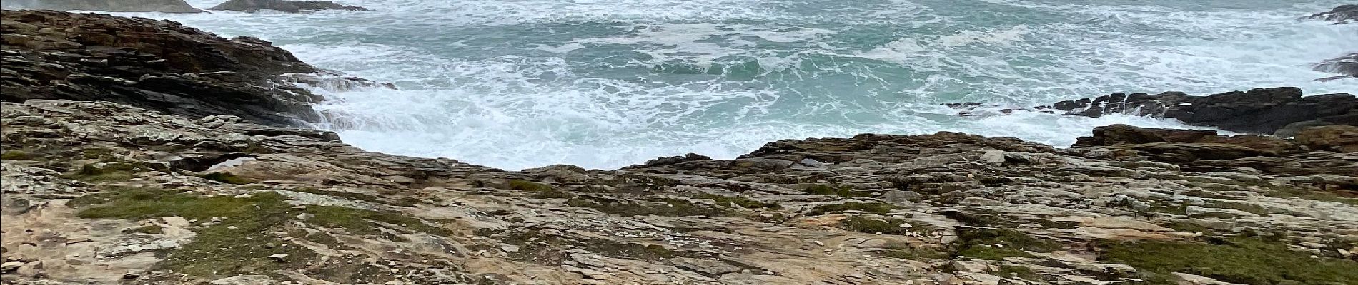 Tocht Stappen Quiberon - Pointe de la presqu’île de Quiberon - Photo