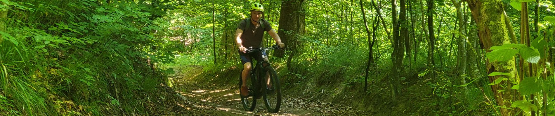 Tour Elektrofahrrad Börsch - sortie vtt 1406022 boersch - Photo