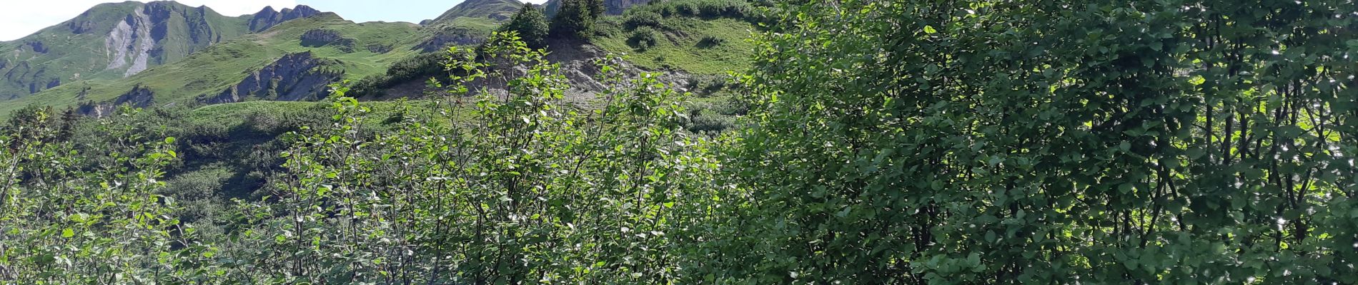 Trail Walking Beaufort - REFUGE DE LA COIRE DEPUIS LE LAC DE SAINT GUERIN - Photo