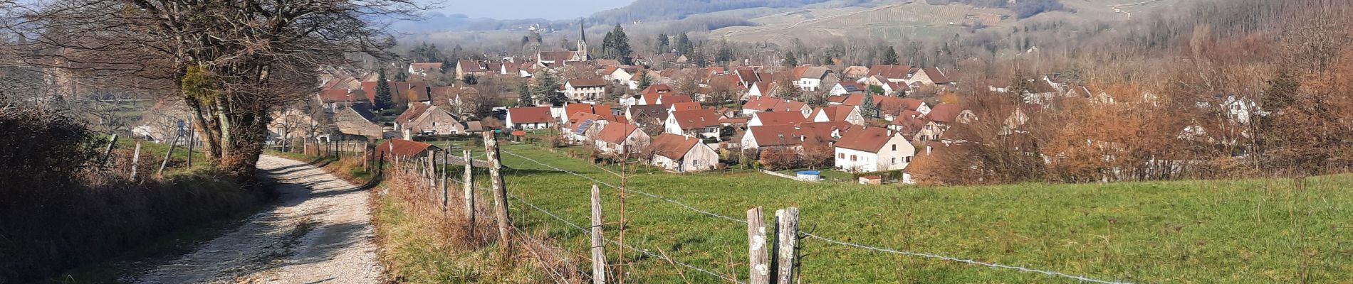 Tour Wandern Château-Chalon - Château-Chalon boucle 11km - Photo