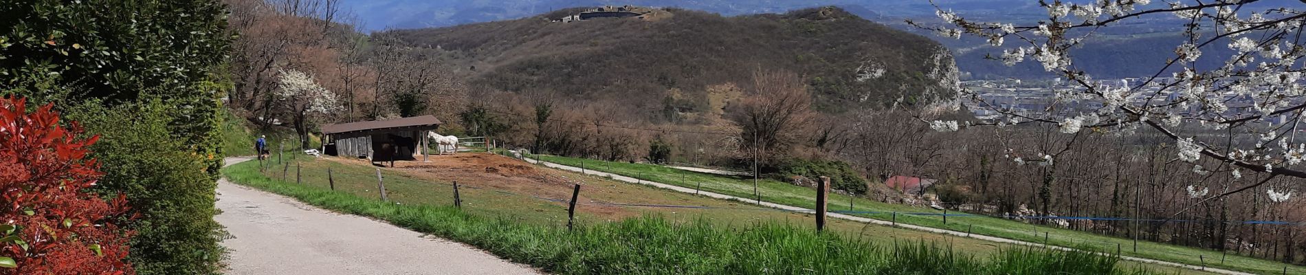 Randonnée Marche Claix - Plateau du Peuil - Le Gampas - Photo