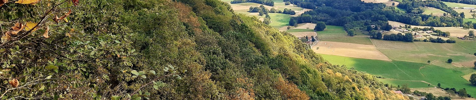 Tour Zu Fuß Montsérié - Promenade du Mont Ergé - Photo