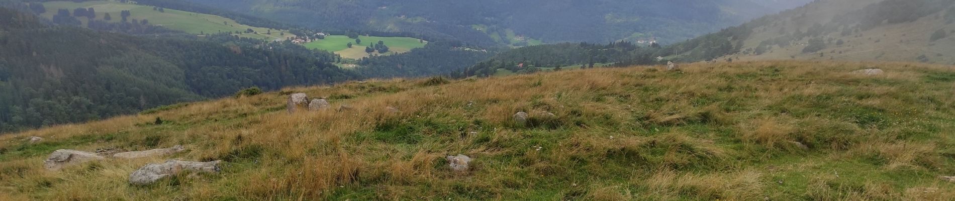 Randonnée Marche Wasserbourg - Boenlesgrab - Photo