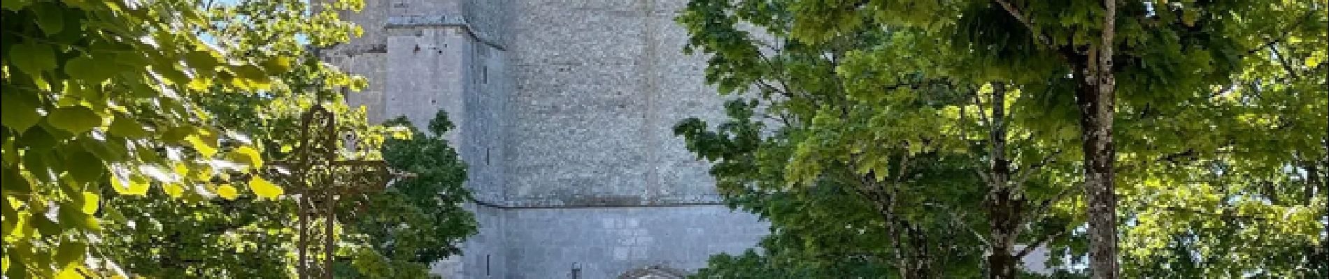 Point of interest Provins - Collegiale Sainte Quiriace - Photo