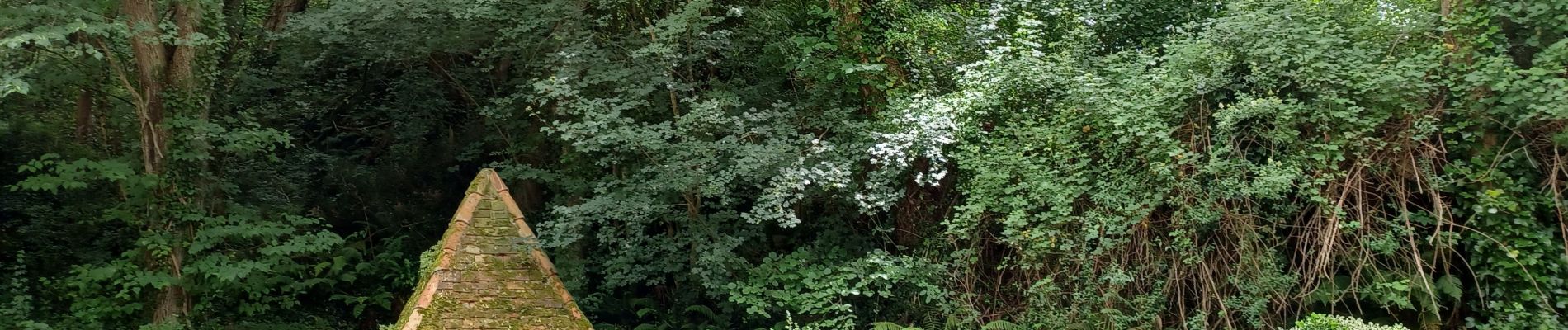 Trail Mountain bike Aire-sur-l'Adour - aire sur adour   arzacq  sauvelade  - Photo