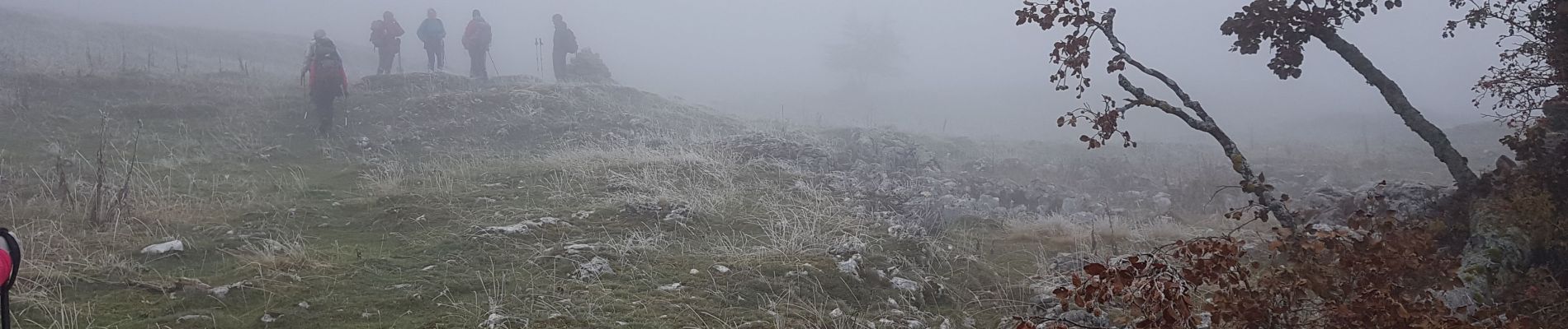 Tour Wandern Engins - Engins - Molière - Malatra - Sornin - Photo