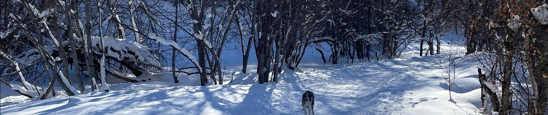 Tocht Stappen Valloire - Les Verneys - Bonnenuit - Valloire - Photo