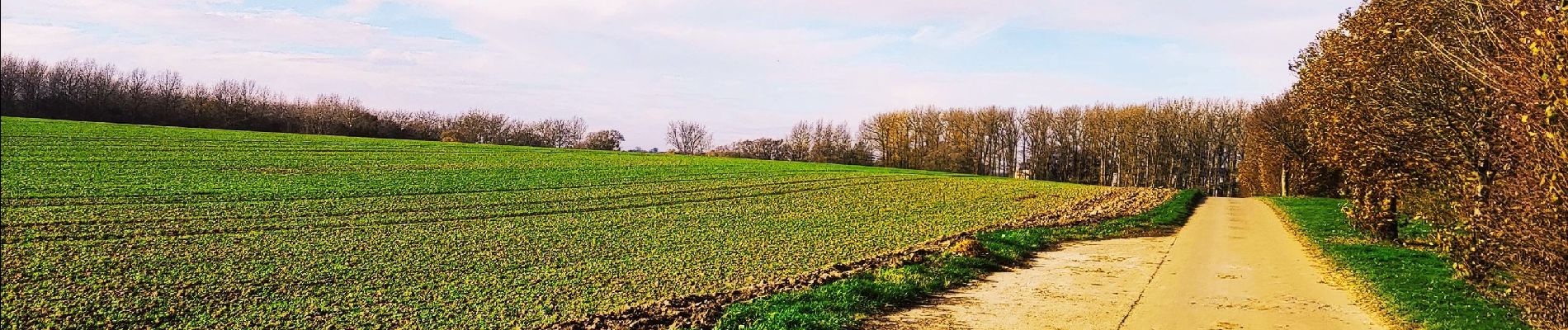 Randonnée Marche Geer - La promenade du Geer  - Photo