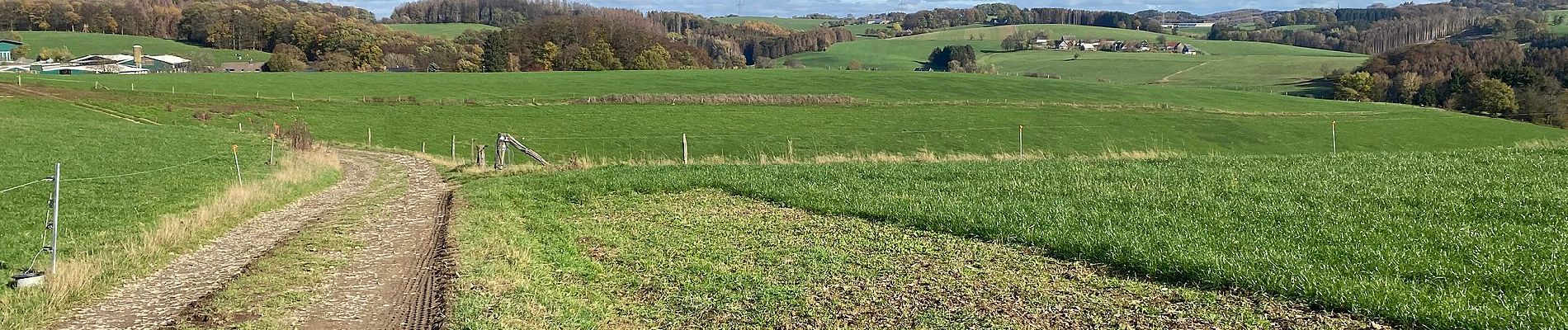 Tour Zu Fuß Wipperfürth - [=] Ortsweg Wipperfürth—Oberschwarzen - Photo