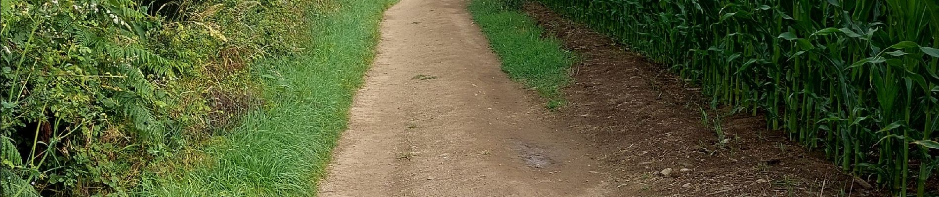 Tour Wandern Plévenon - VISITE AU FORT LA LATTE - Photo