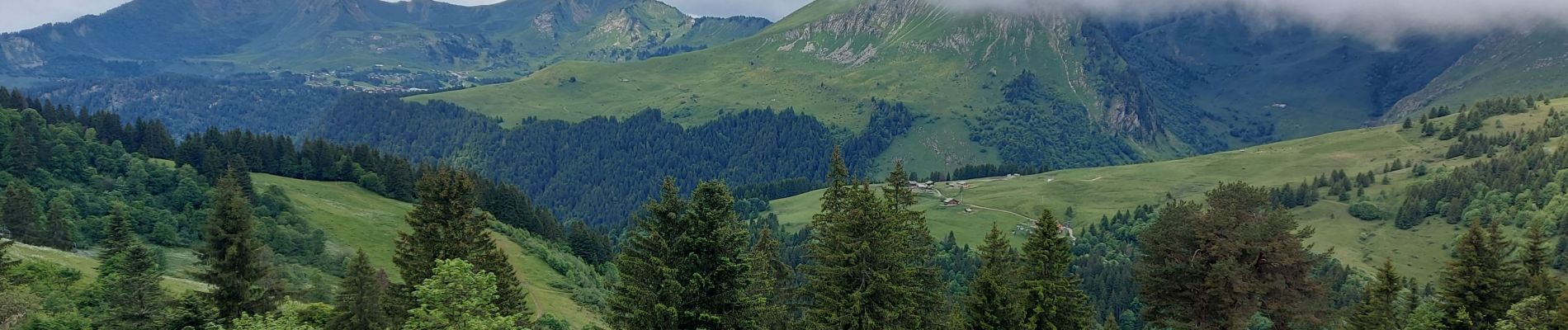 Trail Walking Les Gets - morzine col du mont chery - Photo