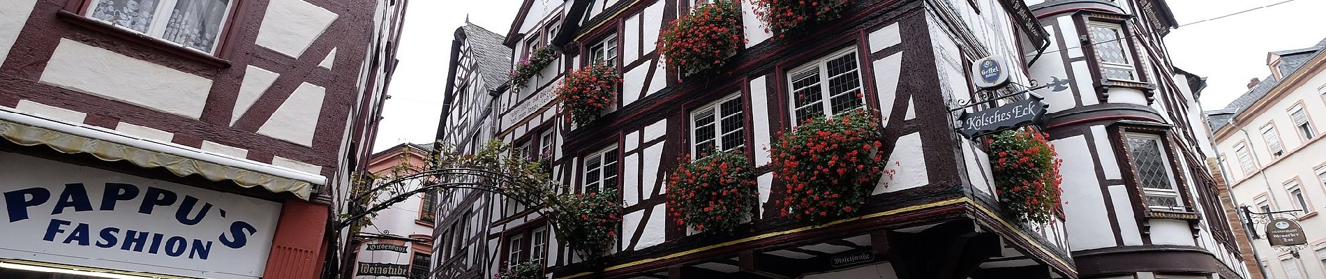 Randonnée A pied Bernkastel-Kues - Maria-Zill Panoramaweg - Photo