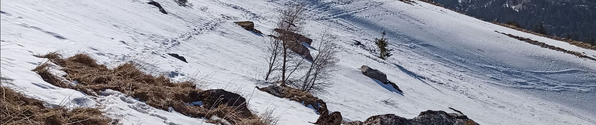 Tour Schneeschuhwandern Villard-de-Lans - randonnée du pas de l'œil - Villard de Lans - Photo