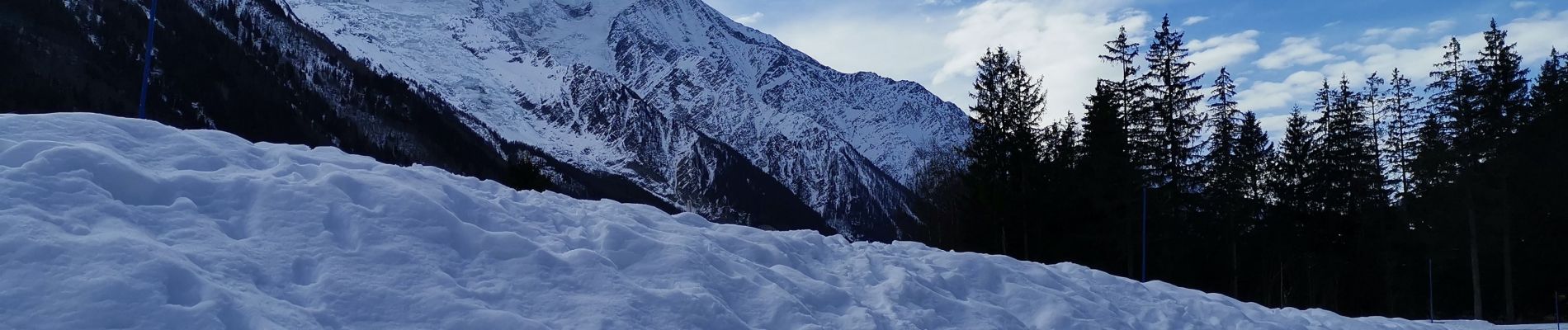 Trail Walking Chamonix-Mont-Blanc - CHAMONIX ... vers les Praz de Chamonix.  - Photo