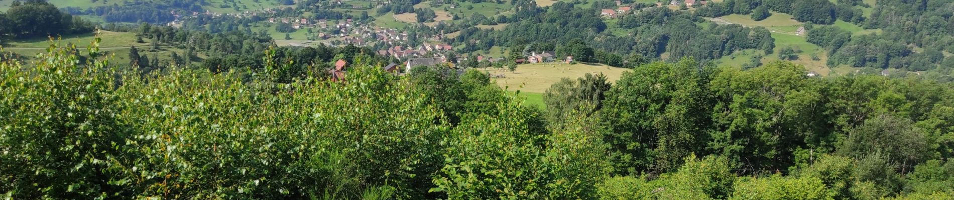 Tocht Stappen Soultzeren - Hohrodberg Mussmiss - Photo