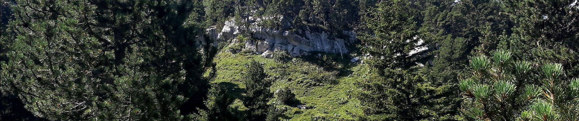 Tour Wandern Sainte-Marie-du-Mont - col de l'Alpes - Photo