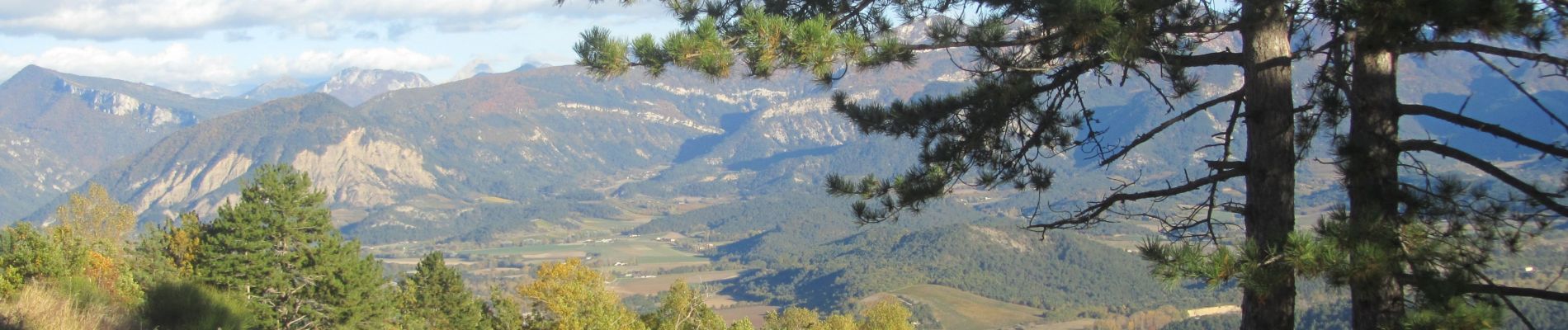 Punto di interesse Montmaur-en-Diois - l'arbre-lyre - Photo