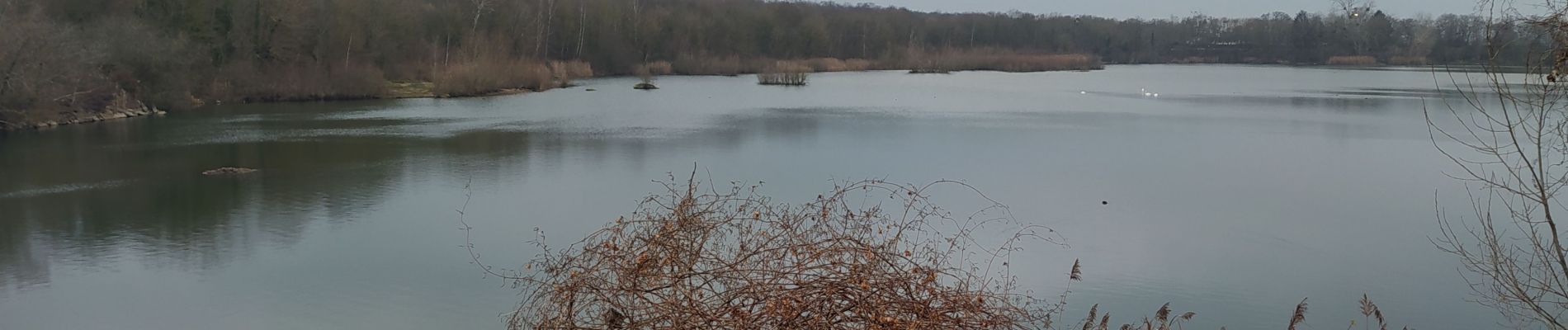 Tour Wandern Saint-Germain-en-Laye - cora - Photo