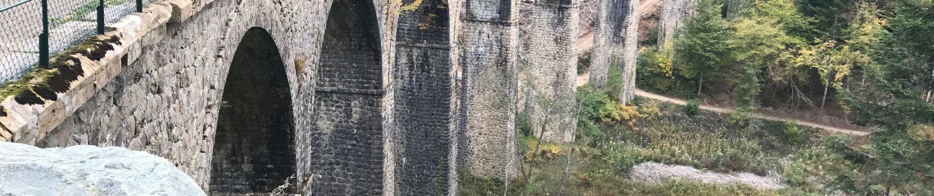 Tocht Stappen Les Ardillats - Col de crie au Viaduc (7,4 km - D. 173 m) - Photo