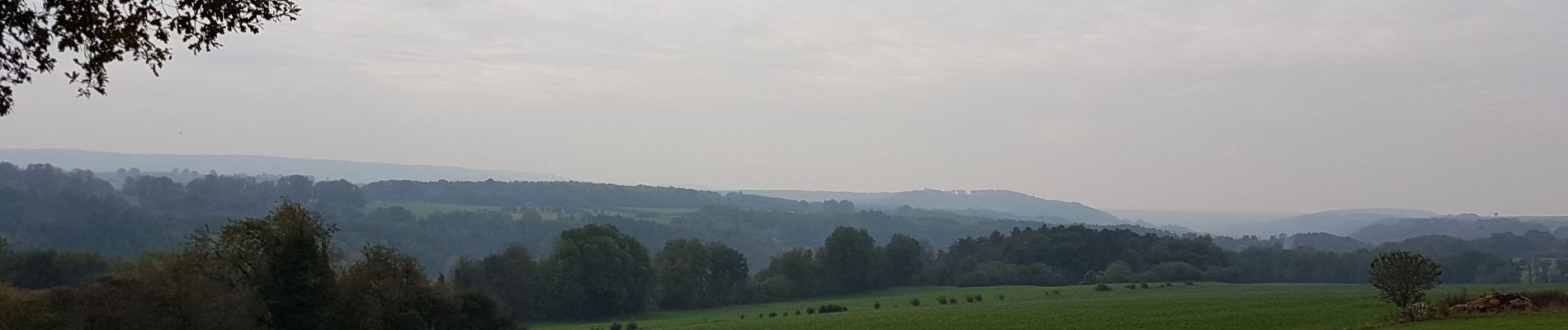 Tocht Stappen Ferrières - Logne (Vieuxville) - Izier - Ferrières - My - Photo