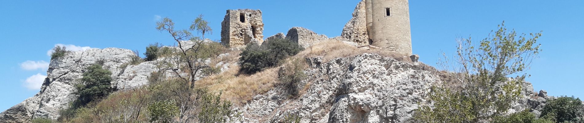 Randonnée Marche Châteauneuf-du-Pape - Ch. du Pape - Château de l'Hers - Photo