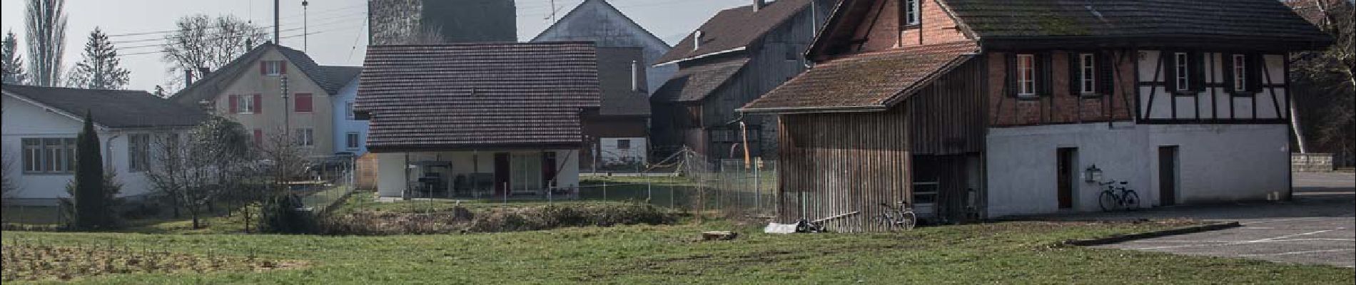 Tour Zu Fuß Hitzkirch - Richensee - Herlisberg - Photo