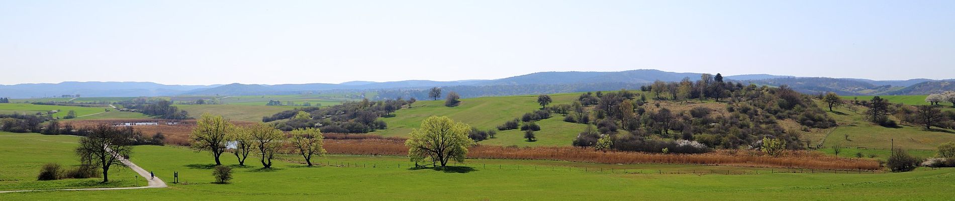 Tour Zu Fuß Rohrbach bei Mattersburg - NW Kogelstrecke (Start: Dreieckswiese) - Photo