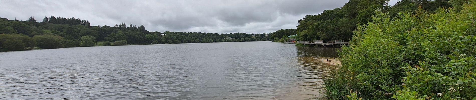 Tocht Stappen Jugon-les-Lacs Commune nouvelle - jugon le lac - Photo