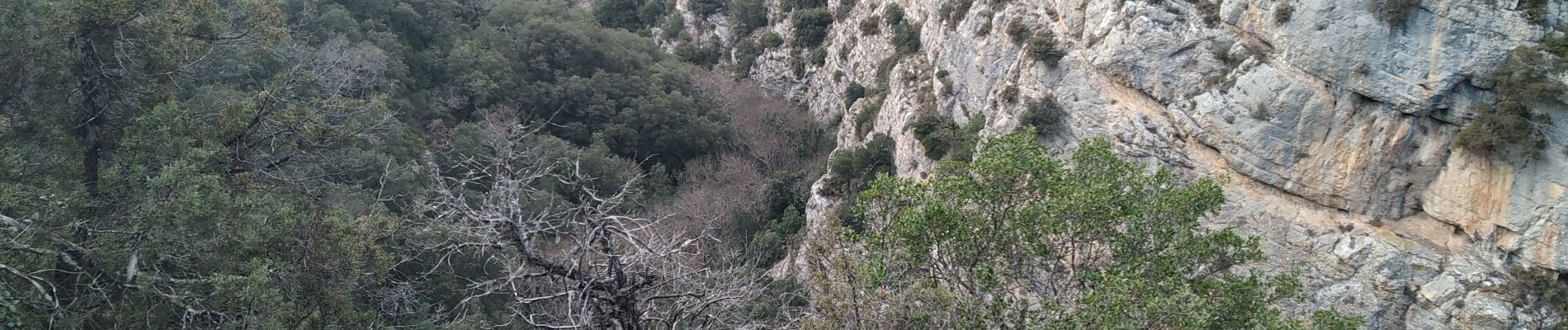 Tocht Stappen Saint-Julien - Le drapeau depuis Les Hugous+ petite incursion dans Malavalas - Photo