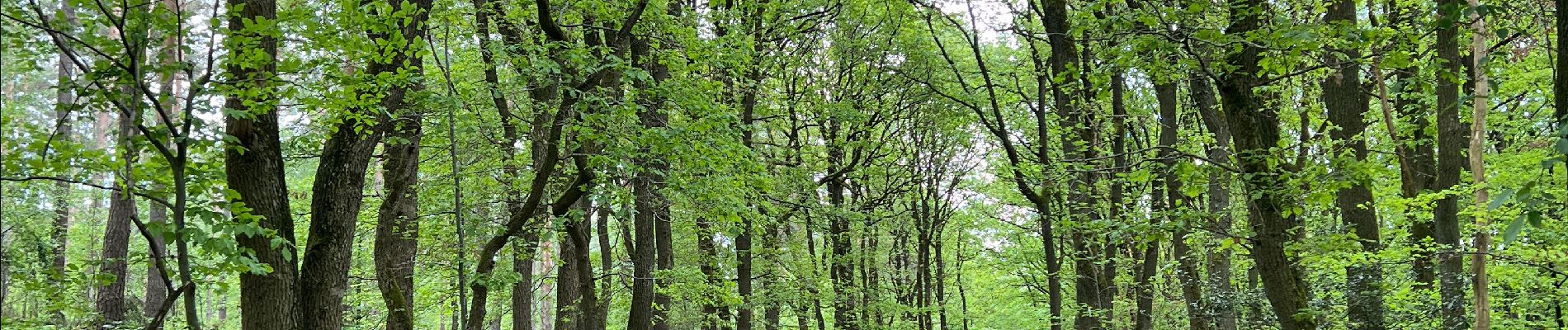 Tour  Chaudfontaine - Paul - Photo