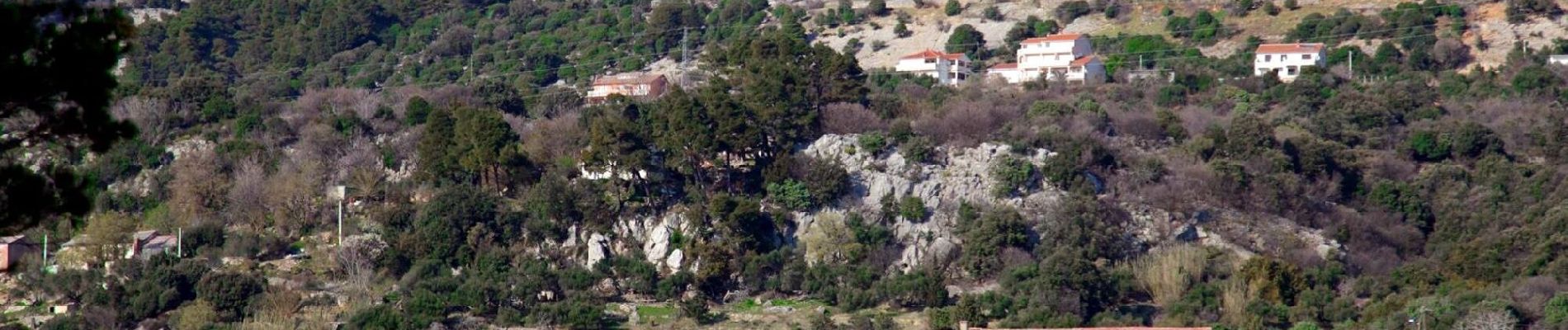 Percorso A piedi Unknown - Kamenjak od uvale Mišnjak - Photo