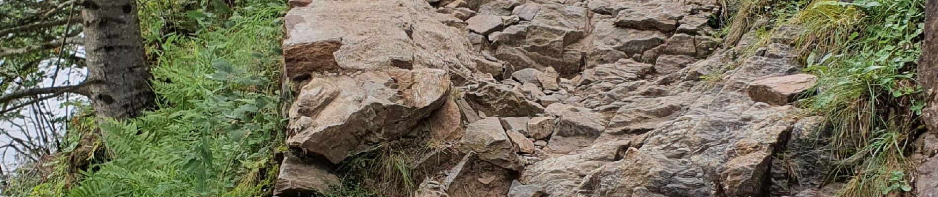 Tour Wandern Loudenvielle - La Clarabide et refuge de la soula - Photo