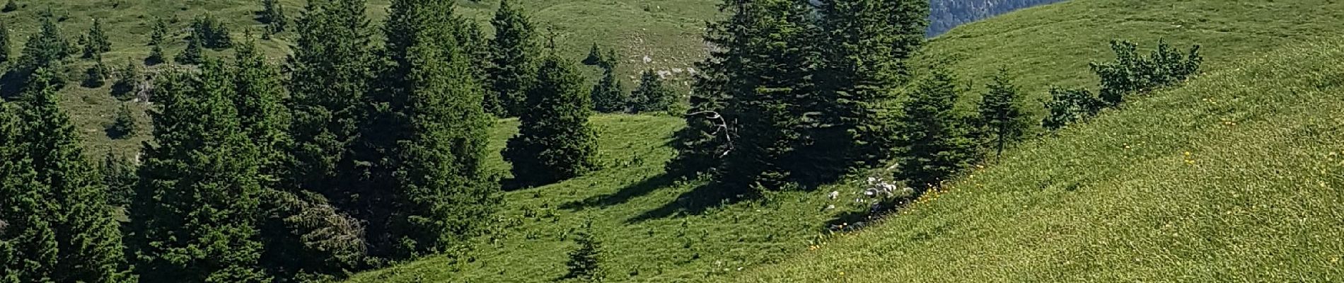 Tocht Stappen Gex - 190628 MontRond - Photo