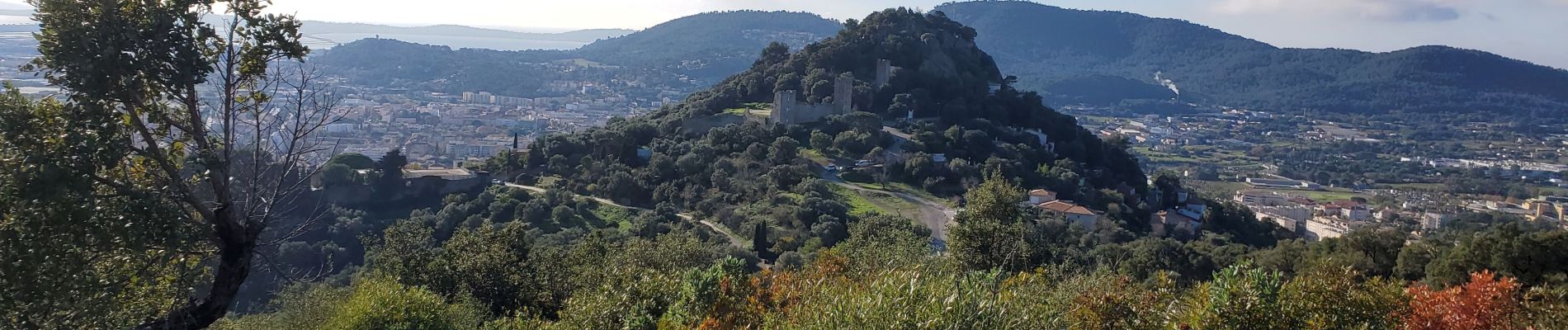 Trail Walking La Crau - Le Fenouillet - Photo