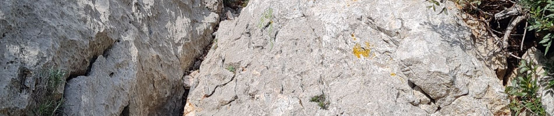 Randonnée Marche Toulon - le Faron sud - Photo