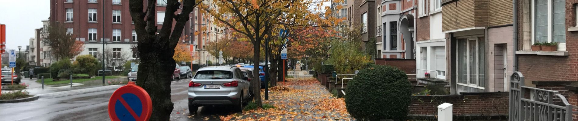 Tocht Stappen Sint-Lambrechts-Woluwe - Woluwe - Berchem 16,5 km - Photo