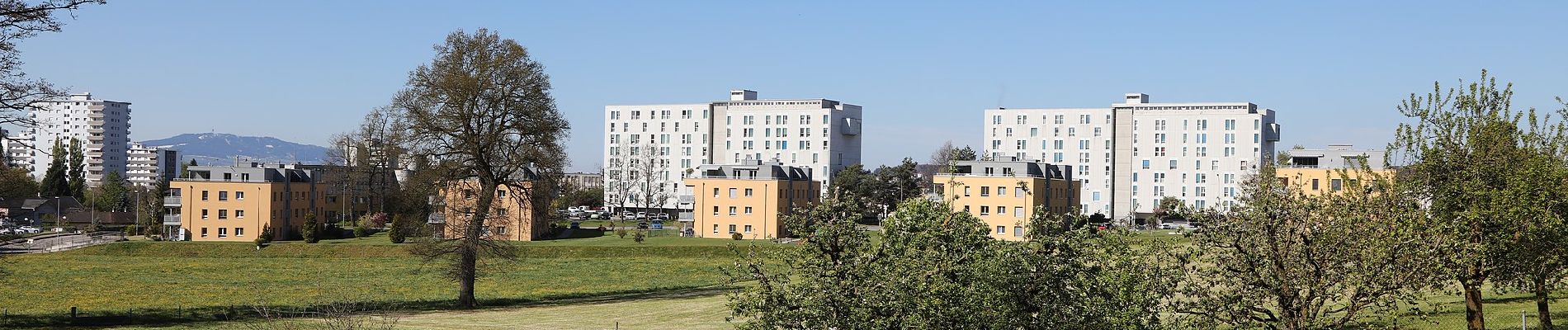 Tour Zu Fuß Düdingen - Jetschwil - Uebewil - Photo