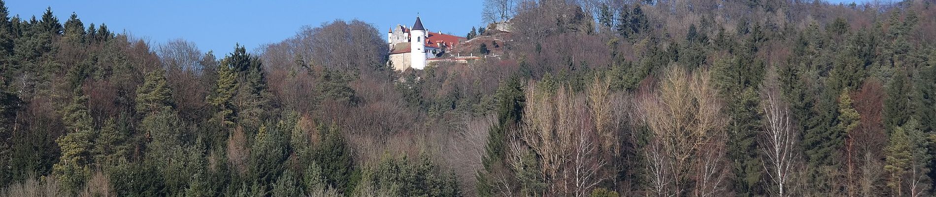 Percorso A piedi Neukirchen bei Sulzbach-Rosenberg - Rundwanderweg No.1 Neukirchen - Photo