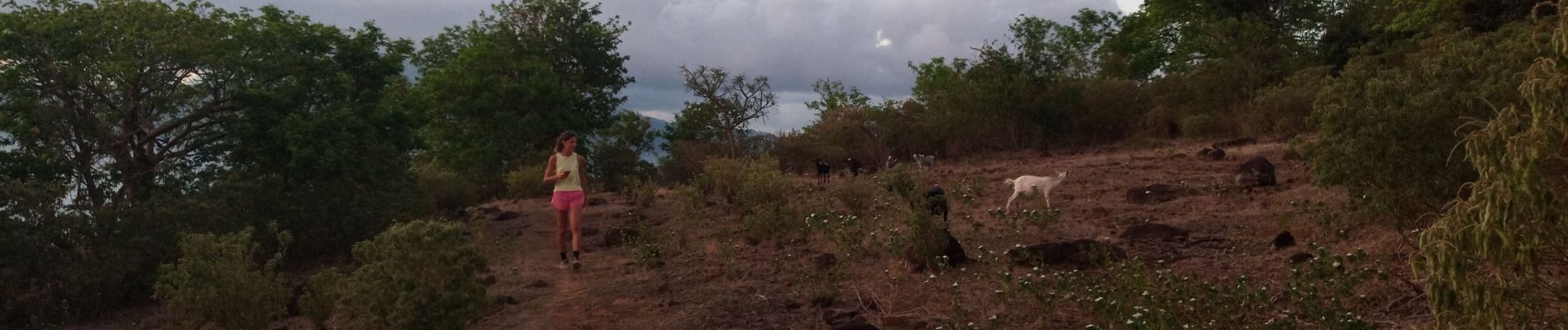 Randonnée Marche Terre-de-Haut - Les Saintes - J1 - Photo