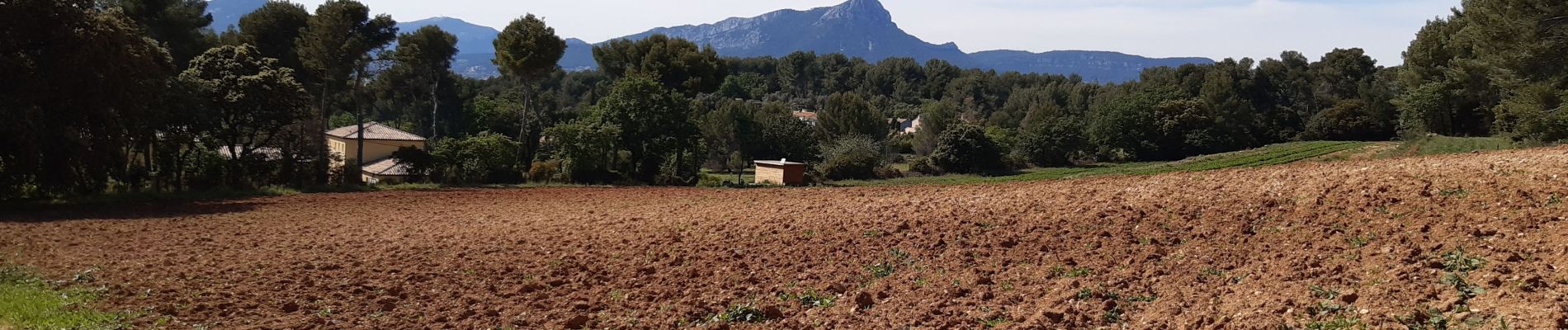 Trail Walking Carqueiranne - colline de Bauveze - Photo