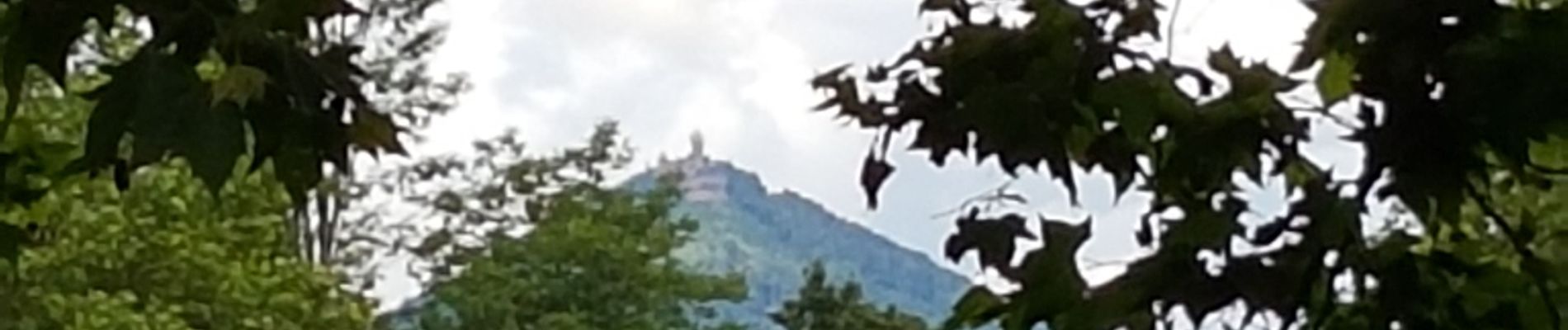 Tour Wandern Schlettstadt - Sélestat le Grand Ried - balade dans la forêt de l'II - passerelles - Photo