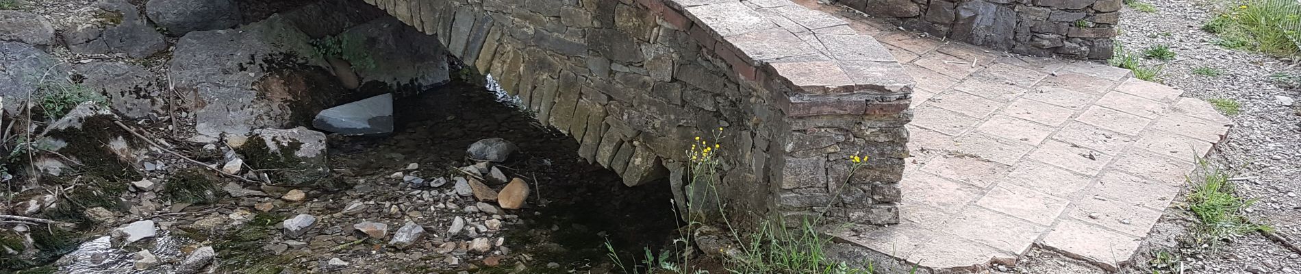 Randonnée Marche Saint-Julien-les-Rosiers - St julien les rosiers dolmen - Photo